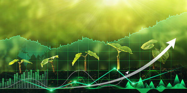 startup-funding-trends-2022